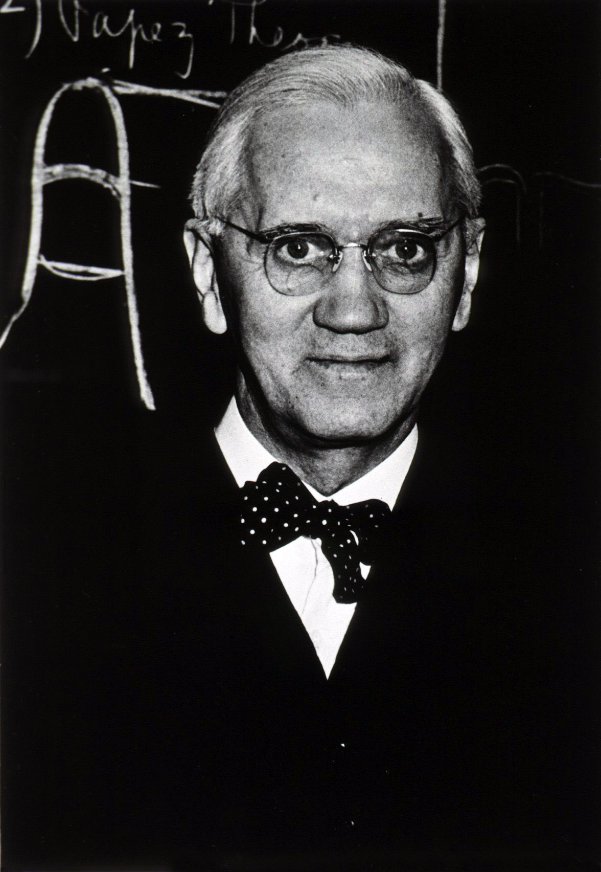 Photographic portrait of Alexander Fleming.