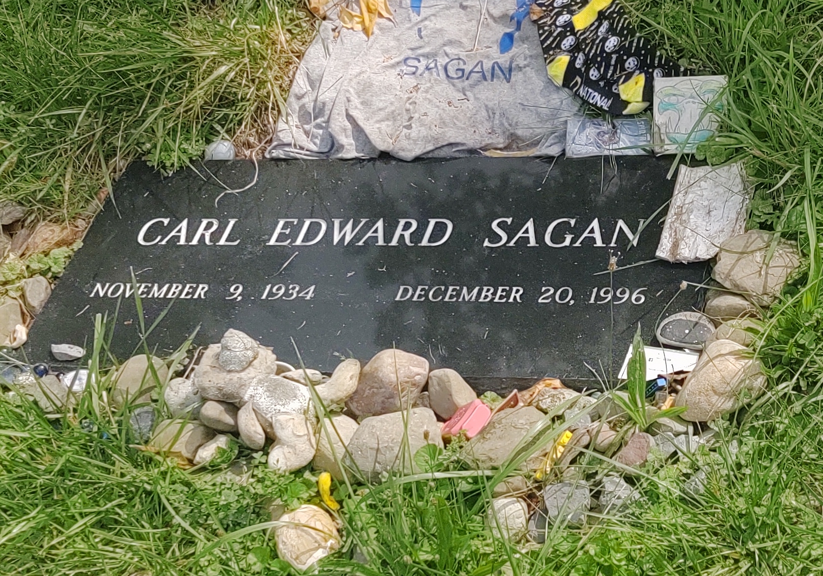 Carl Sagan's grave at Lake View Cemetery in Ithaca, New York. — Iowaway, CC BY-SA 4.0 (Wikimedia Commons)