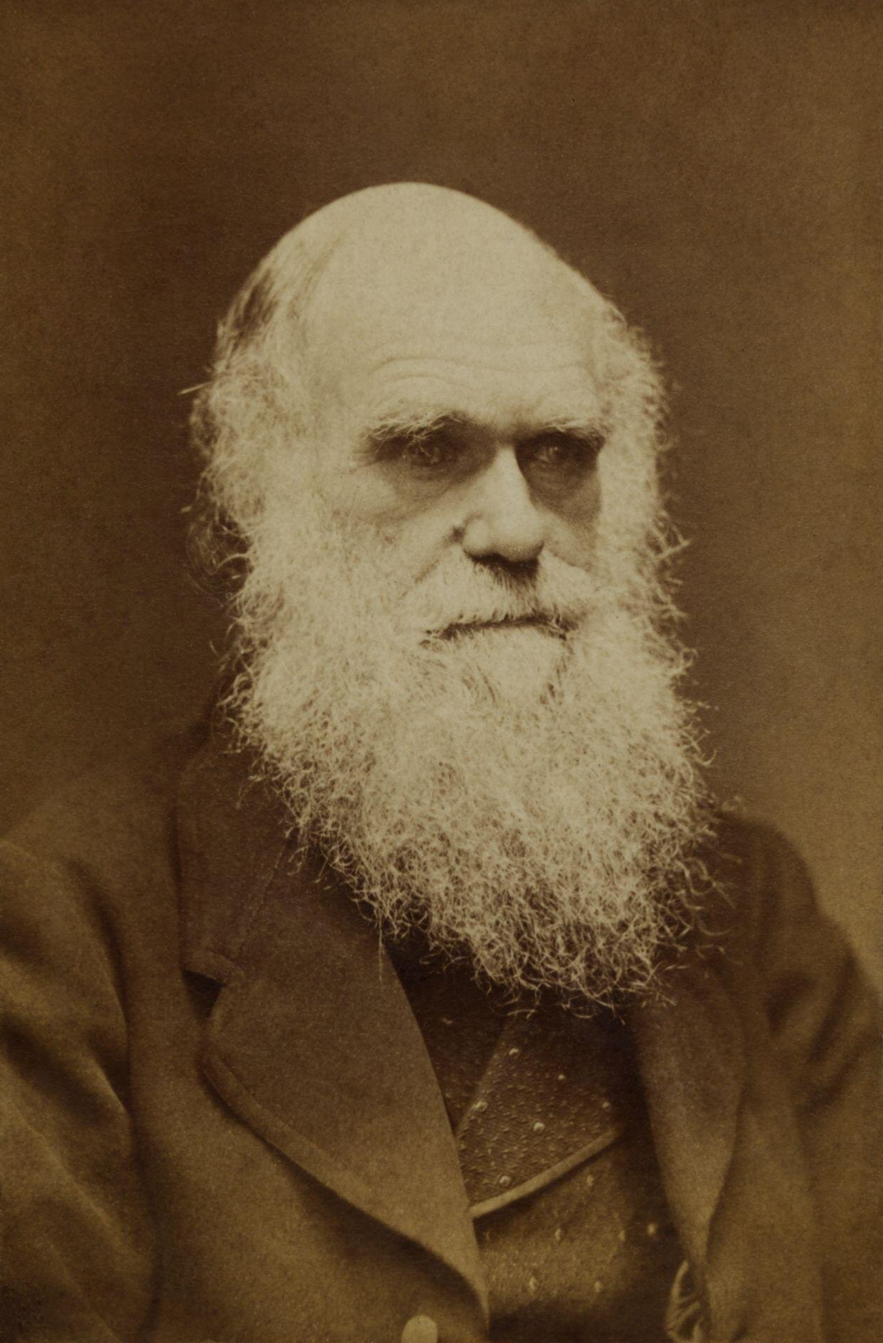 Photograph of Charles Darwin taken between 1862 and 1882.