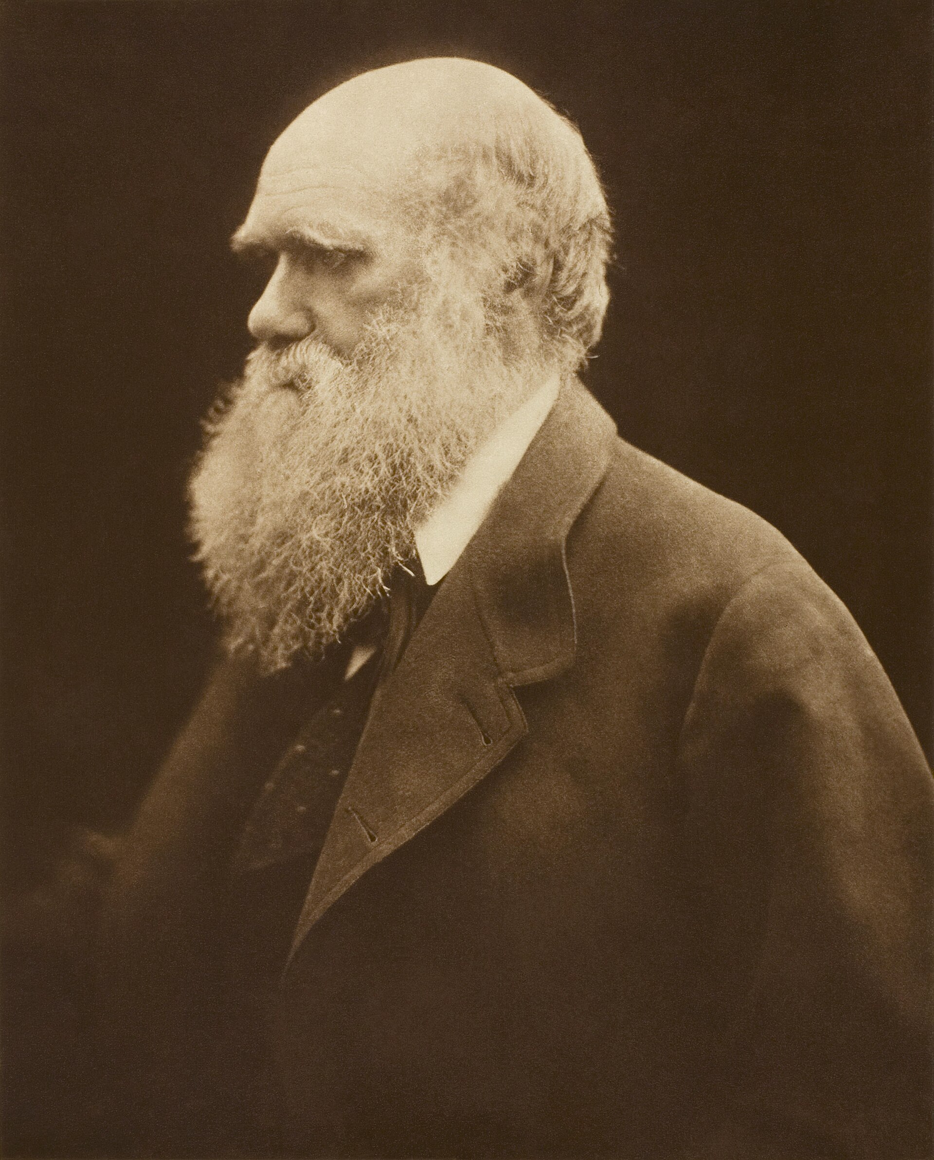 Photographic portrait of Charles Darwin, around 1868.