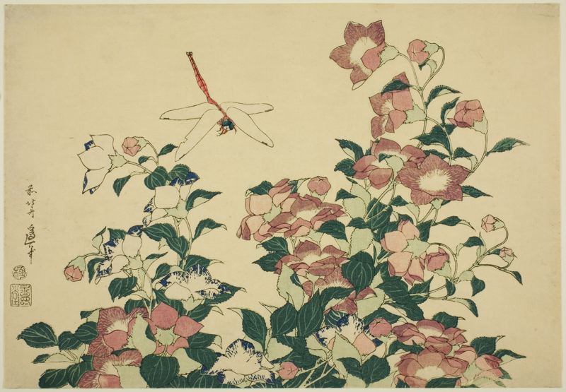 Bell-flower and Dragonfly, a woodblock print from Katsushika Hokusai's Large Flowers series.