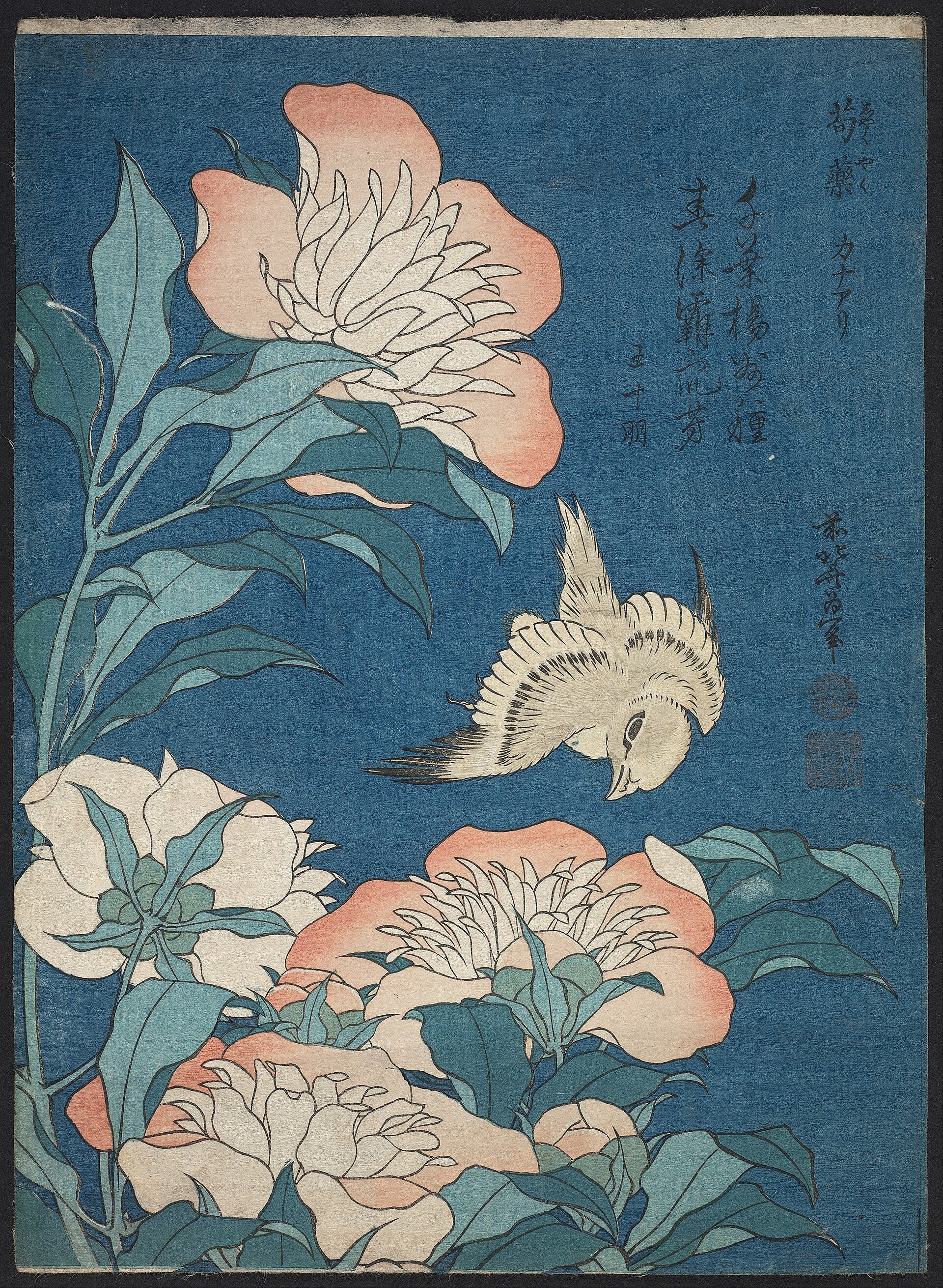 Peonies and Canary, a woodblock print by Katsushika Hokusai from his untitled series known as Small Flowers.