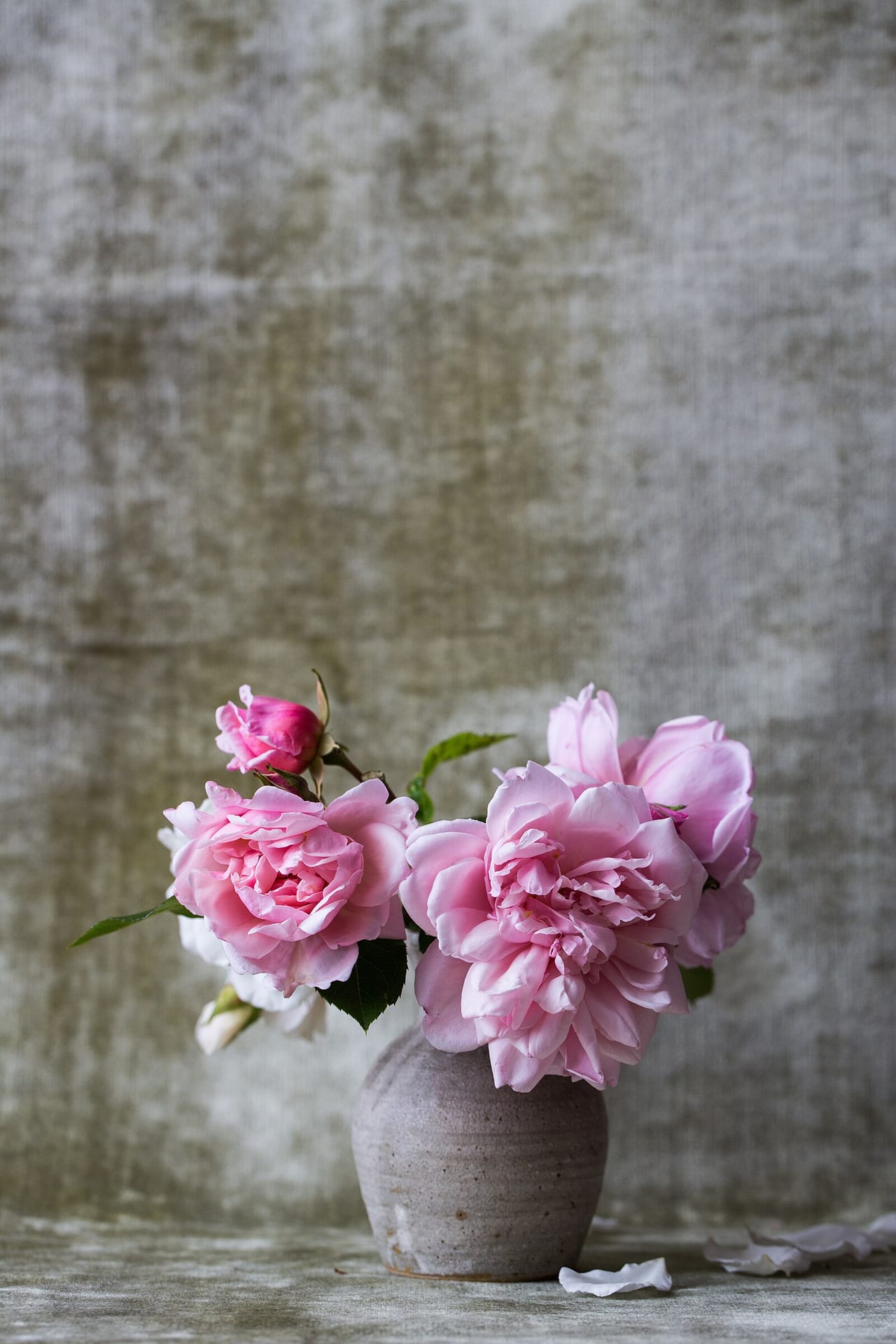 Roses from the August garden. She always cut them at dawn, while the dew still held on them.