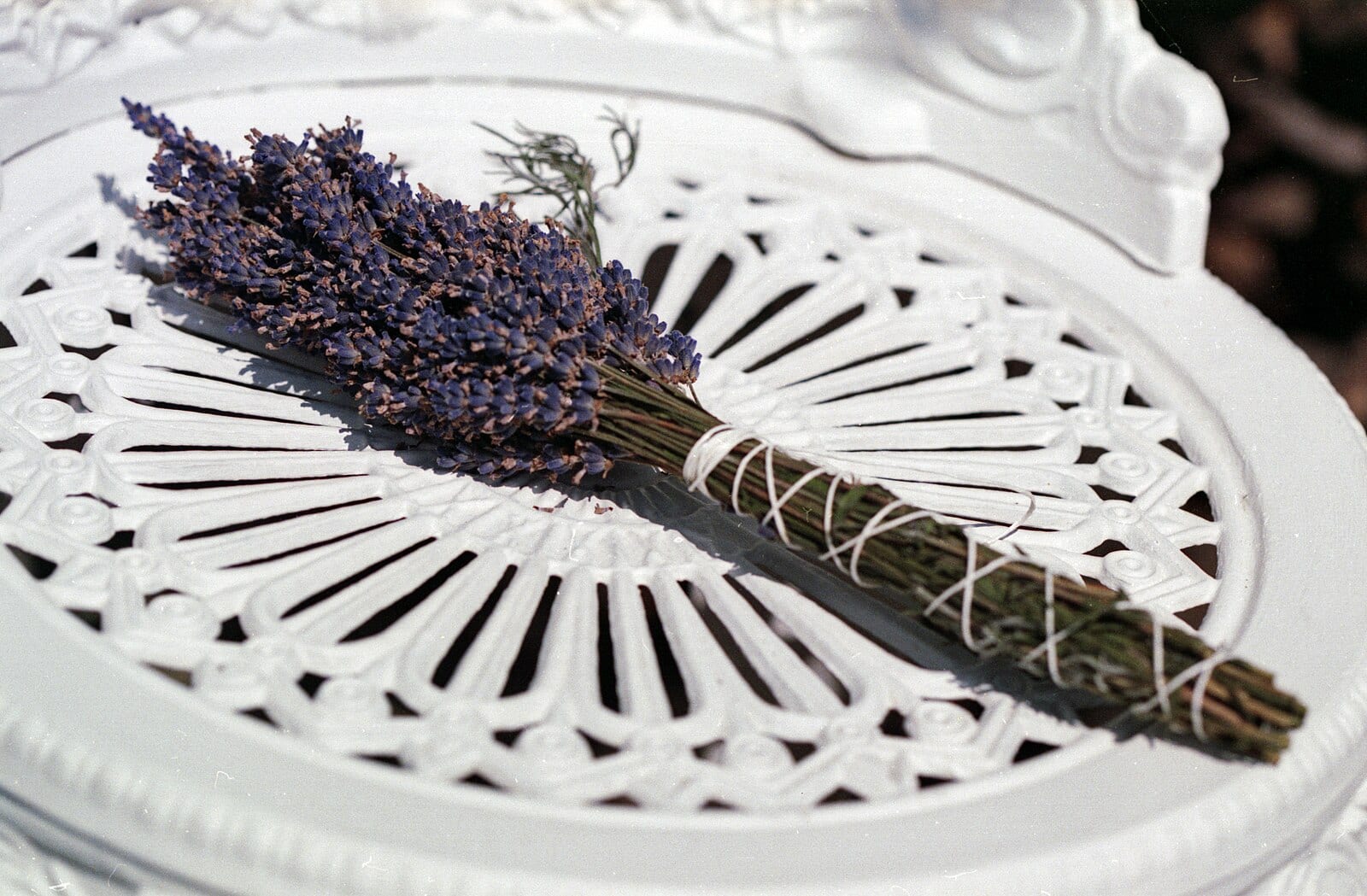 Lavender from the garden. She dried it in bunches in the attic and tucked it into little pillows.