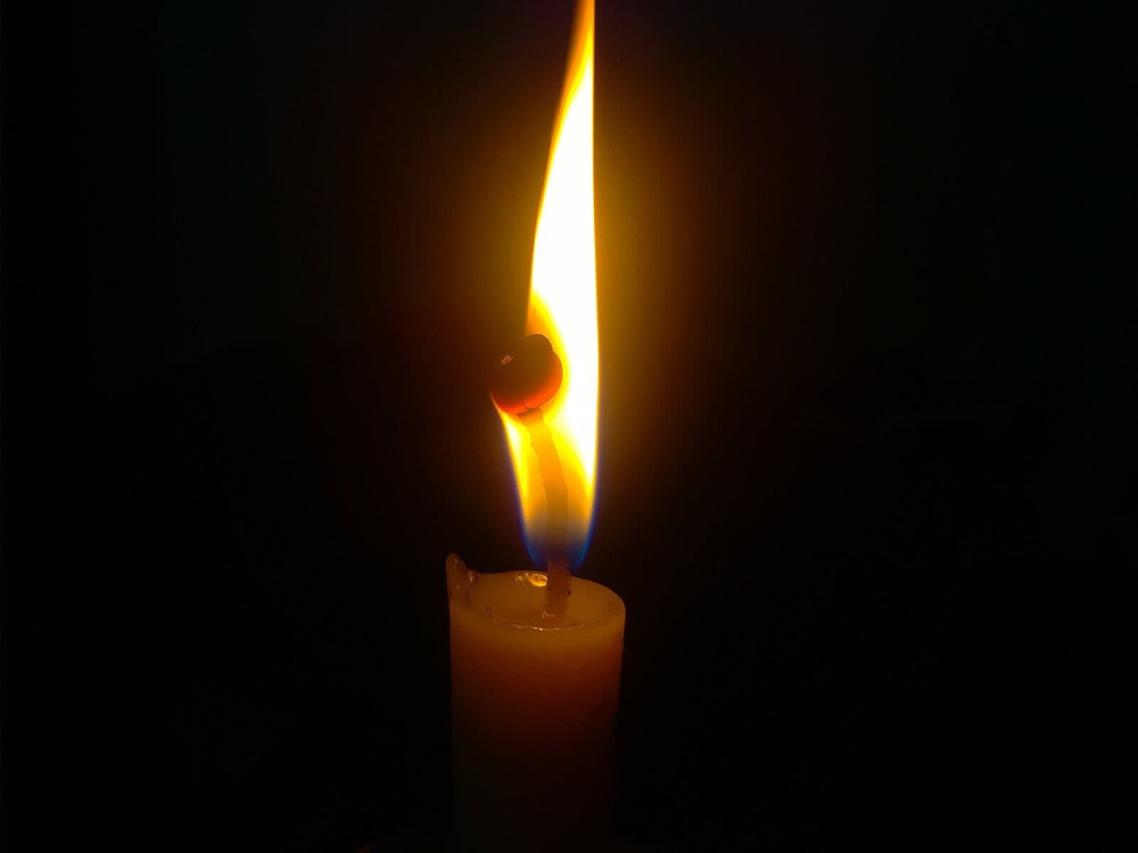 The light she gave never goes out.